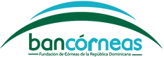 Bancórneas